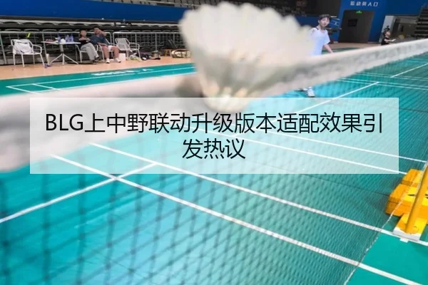 BLG上中野联动升级版本适配效果引发热议